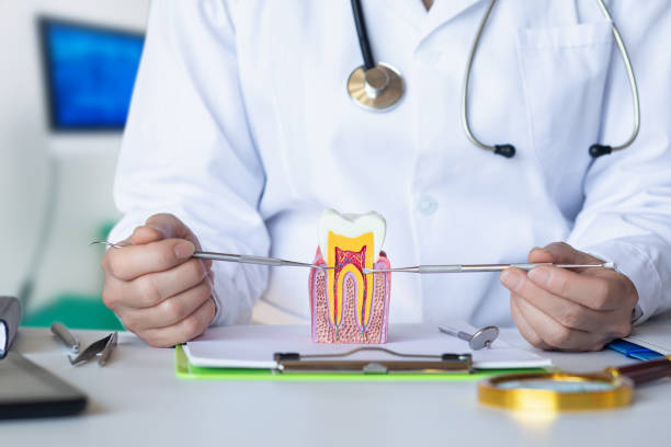 Best Root Canal Emergency Dentist  in Youngwood, PA